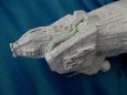 USSC Nostromo 