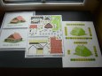 Domek z v�chodn�ch �ech IV