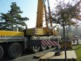 Dopl�ky RW