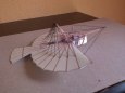 Early Flying Machines