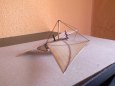 Early Flying Machines