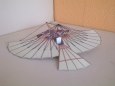 Early Flying Machines