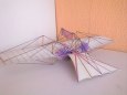Early Flying Machines