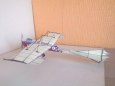 Early Flying Machines