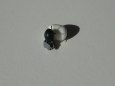 ELBING T-22