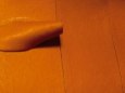 ELBING T-22