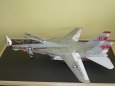 F-14A Tomcat