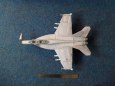 F/A-18F Super Hornet