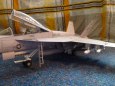 F/A-18F Super Hornet