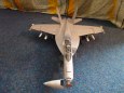 F/A-18F Super Hornet