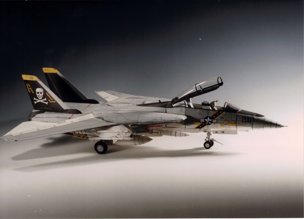 F-14 (Pln� velikost v nov�m okn�) F-14
