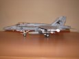 FA18C Hornet 