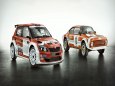 Fabia Rally