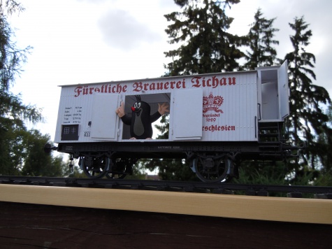 Fakultativwagen Fakultativwagen