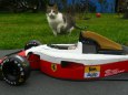 FERRARI 641 Japonsko 1990
