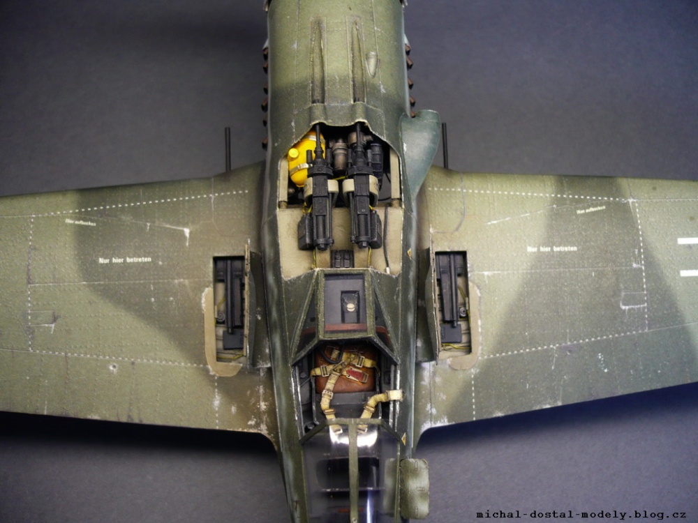 Focke-Wulf Fw 190D-9 (Plná velikost v novém okně) Focke-Wulf Fw 190D-9