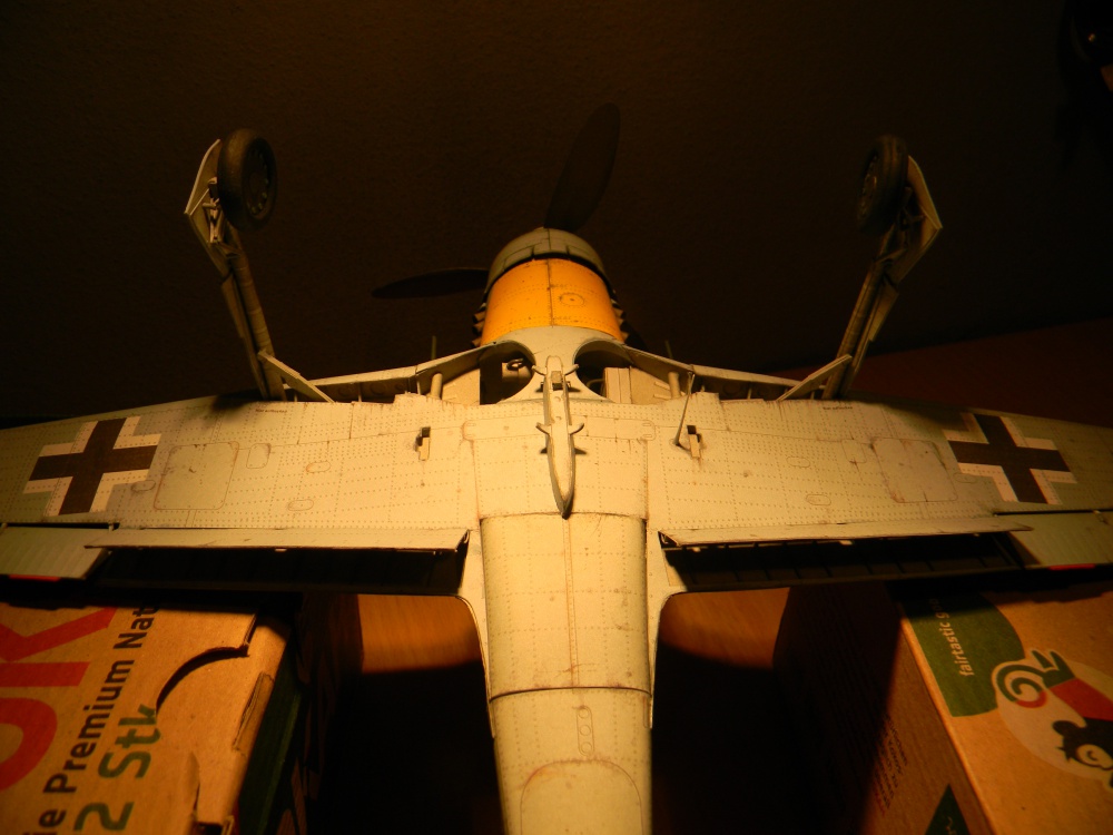 FockeWulf 190D-9 (Plná velikost v novém okně) FockeWulf 190D-9