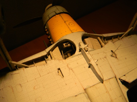 FockeWulf 190D-9