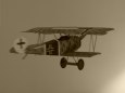 Fokker D.VI