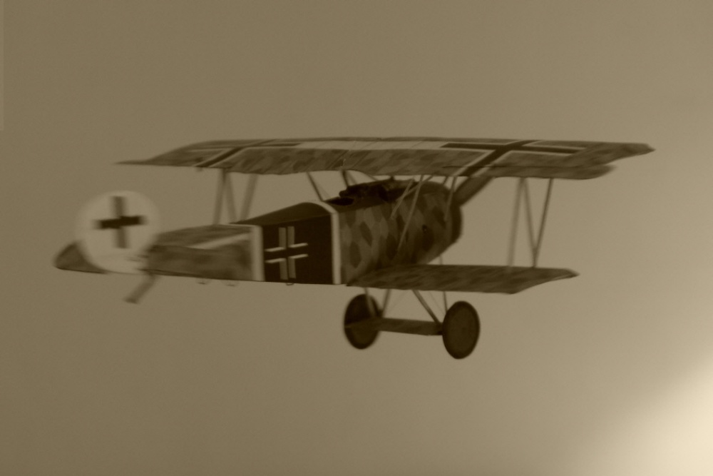 Fokker D.VI (Plná velikost v novém okně) Fokker D.VI