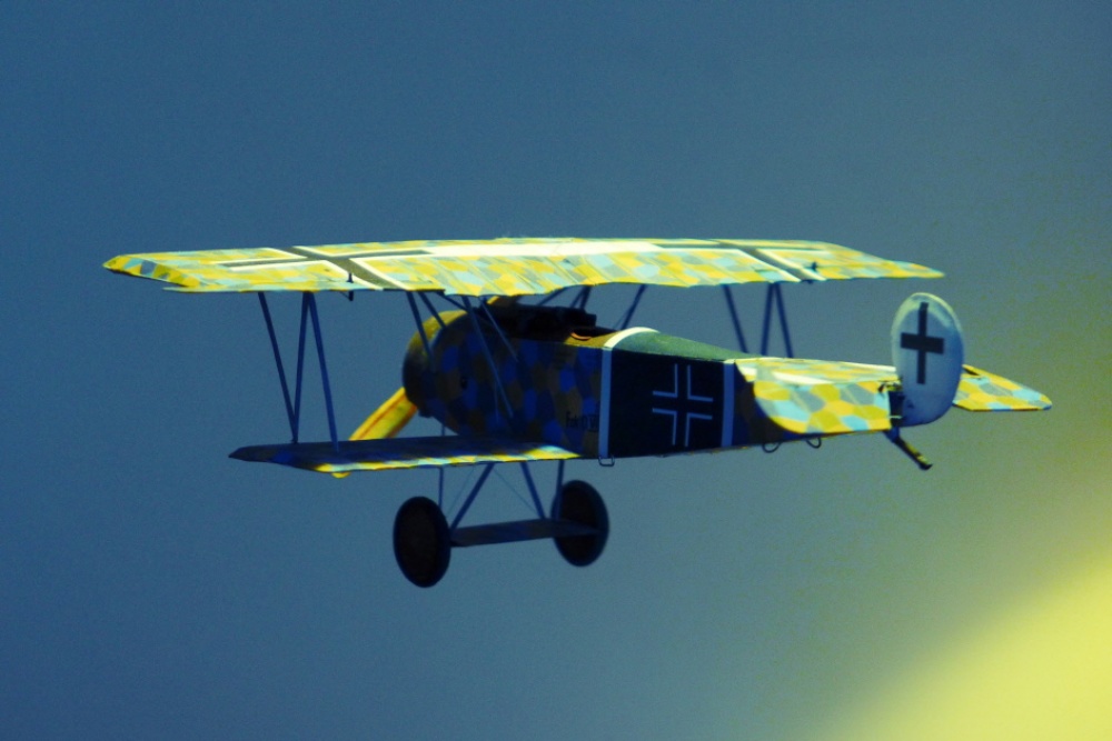 Fokker D.VI (Plná velikost v novém okně) Fokker D.VI