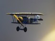 Fokker D.VI