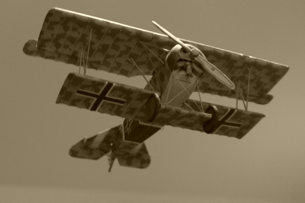 Fokker D.VI (Plná velikost v novém okně) Fokker D.VI