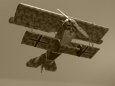 Fokker D.VI