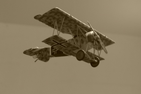 Fokker D.VI Fokker D.VI
