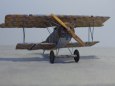 Fokker D.VI