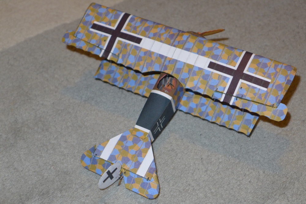 Fokker D.VI (Plná velikost v novém okně) Fokker D.VI