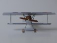 Fokker D.VII - zimn� verze