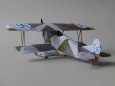 Fokker D.VII - zimn� verze