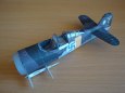 Fokker D.XXI