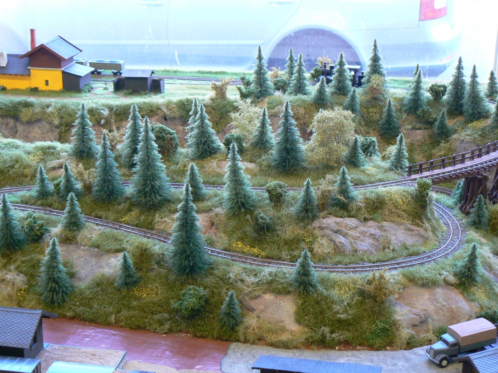 FOR HOBBY - Flora Olomouc 2012