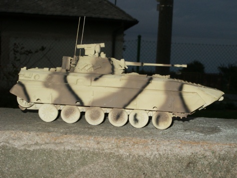 BVP 2  