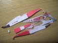 (24 hodin) FW 21 Williams, Ralf Schumacher, 1:24
