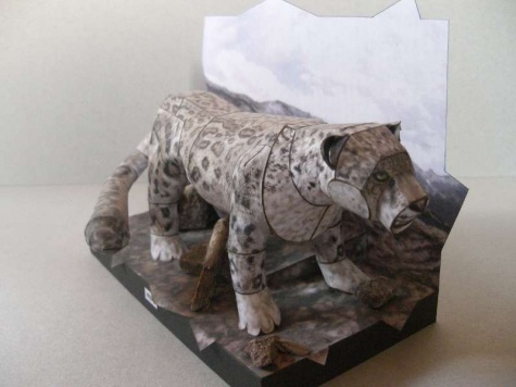 galeria postavenych modelov galeria postavenych modelov