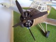 Galerie model�