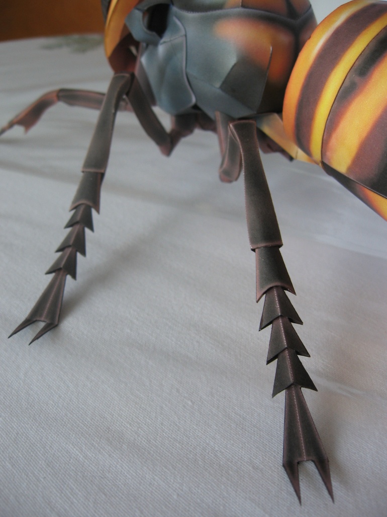 Giant Hornet (Plná velikost v novém okně) Giant Hornet