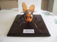 Giant Hornet