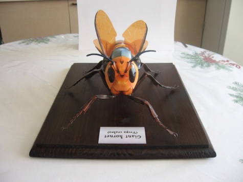 Giant Hornet Giant Hornet