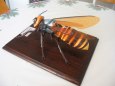 Giant Hornet