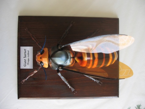 Giant Hornet Giant Hornet