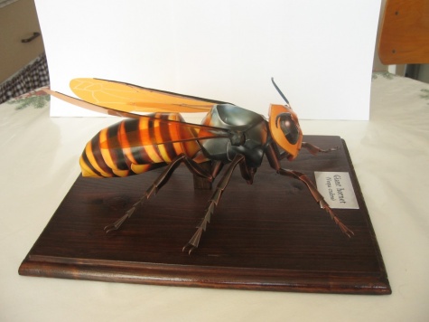 Giant Hornet Giant Hornet