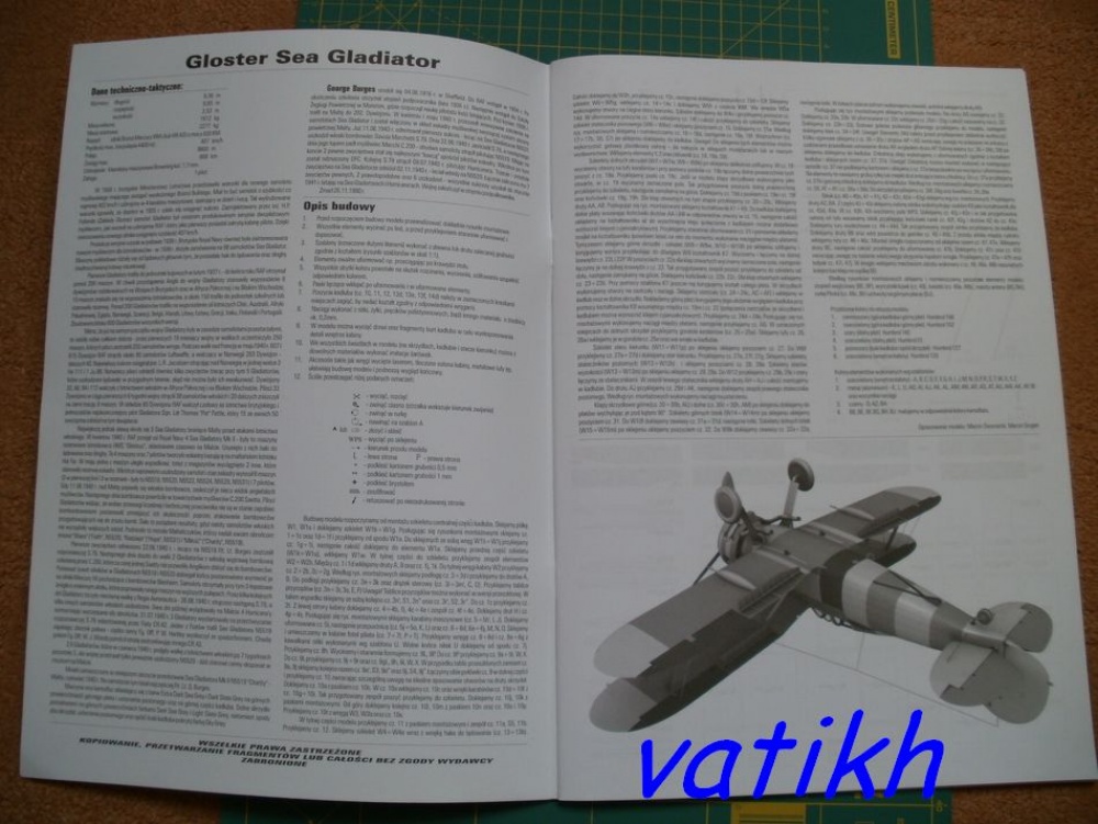 Gloster Sea Gladiator