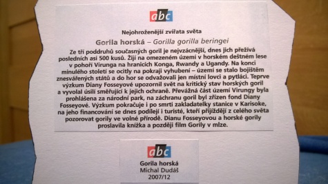 Gorila horsk�