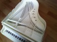 grand piano 