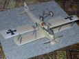 Halberstadt D.II