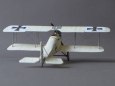 Halberstadt D.II